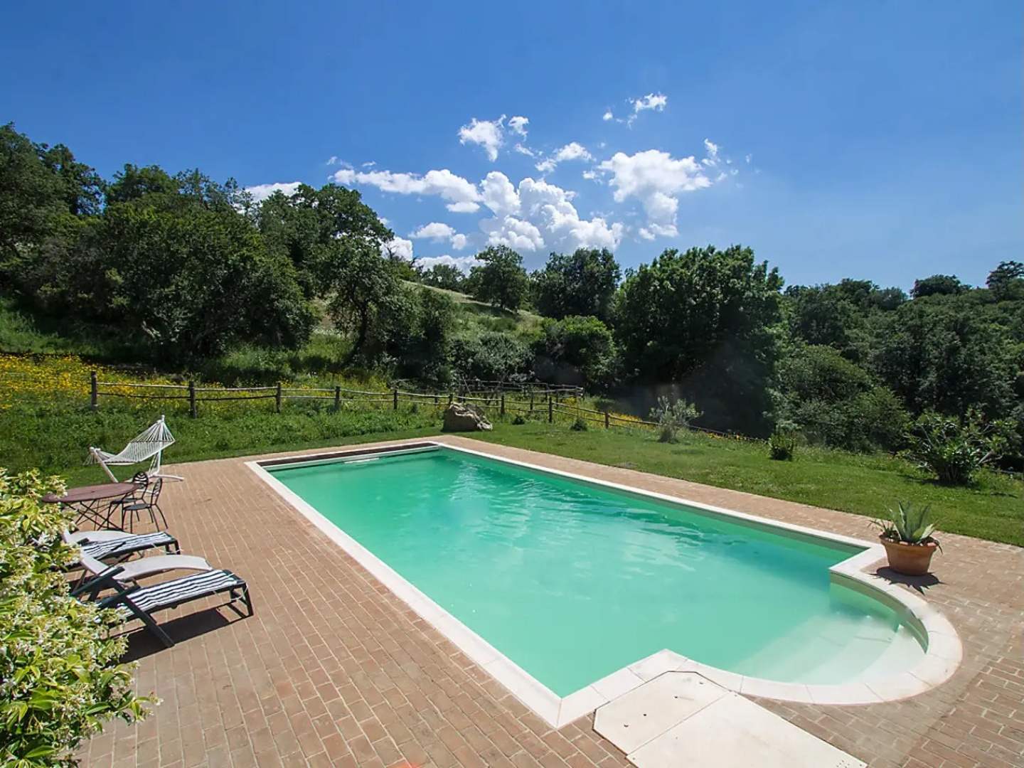 Casalini - Inh 22599