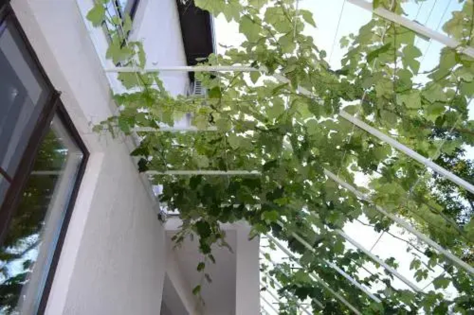 Country House Albatros