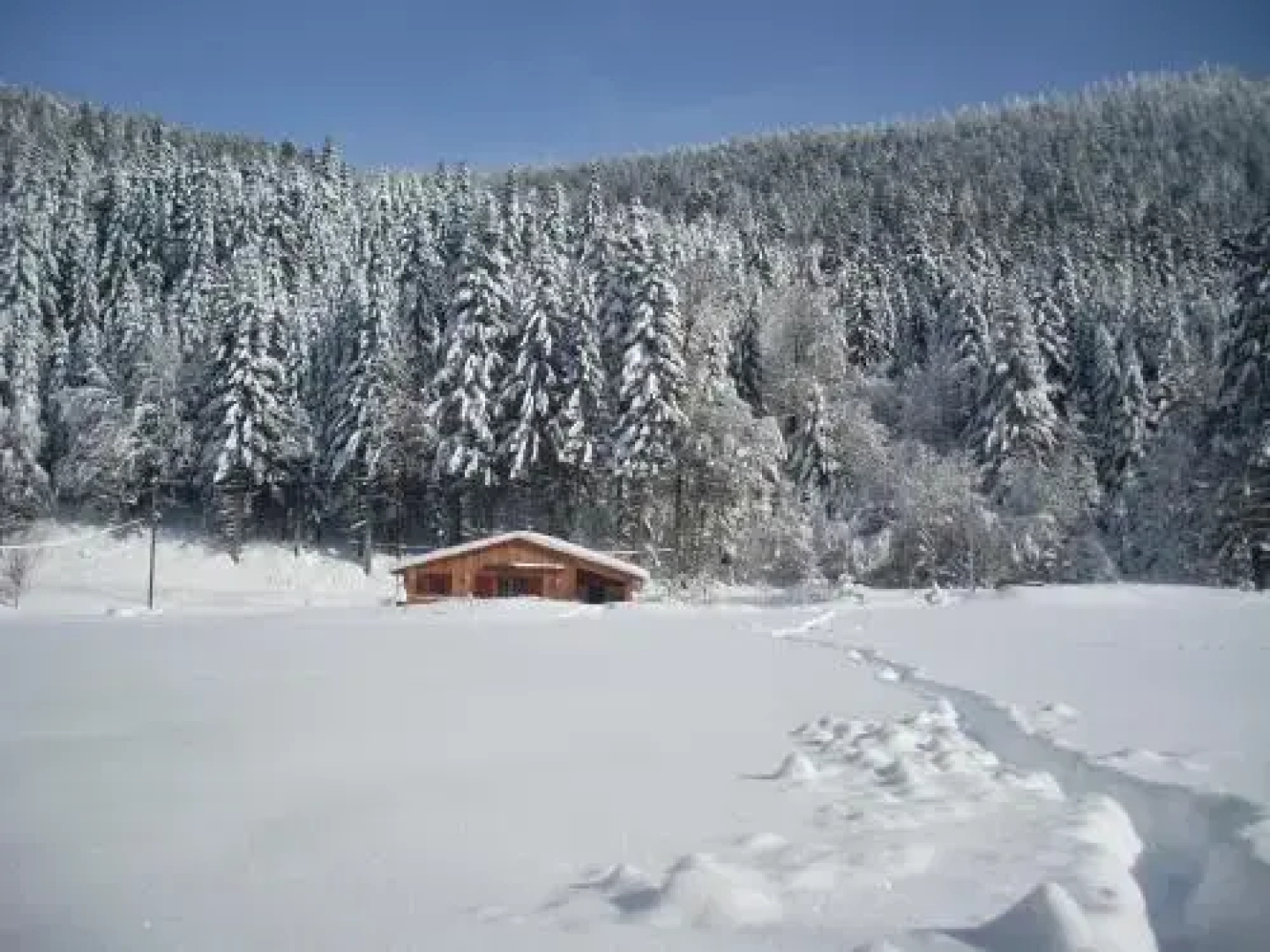 Les Chamois