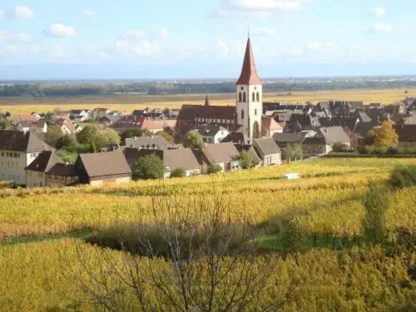 Gites Les Cépages