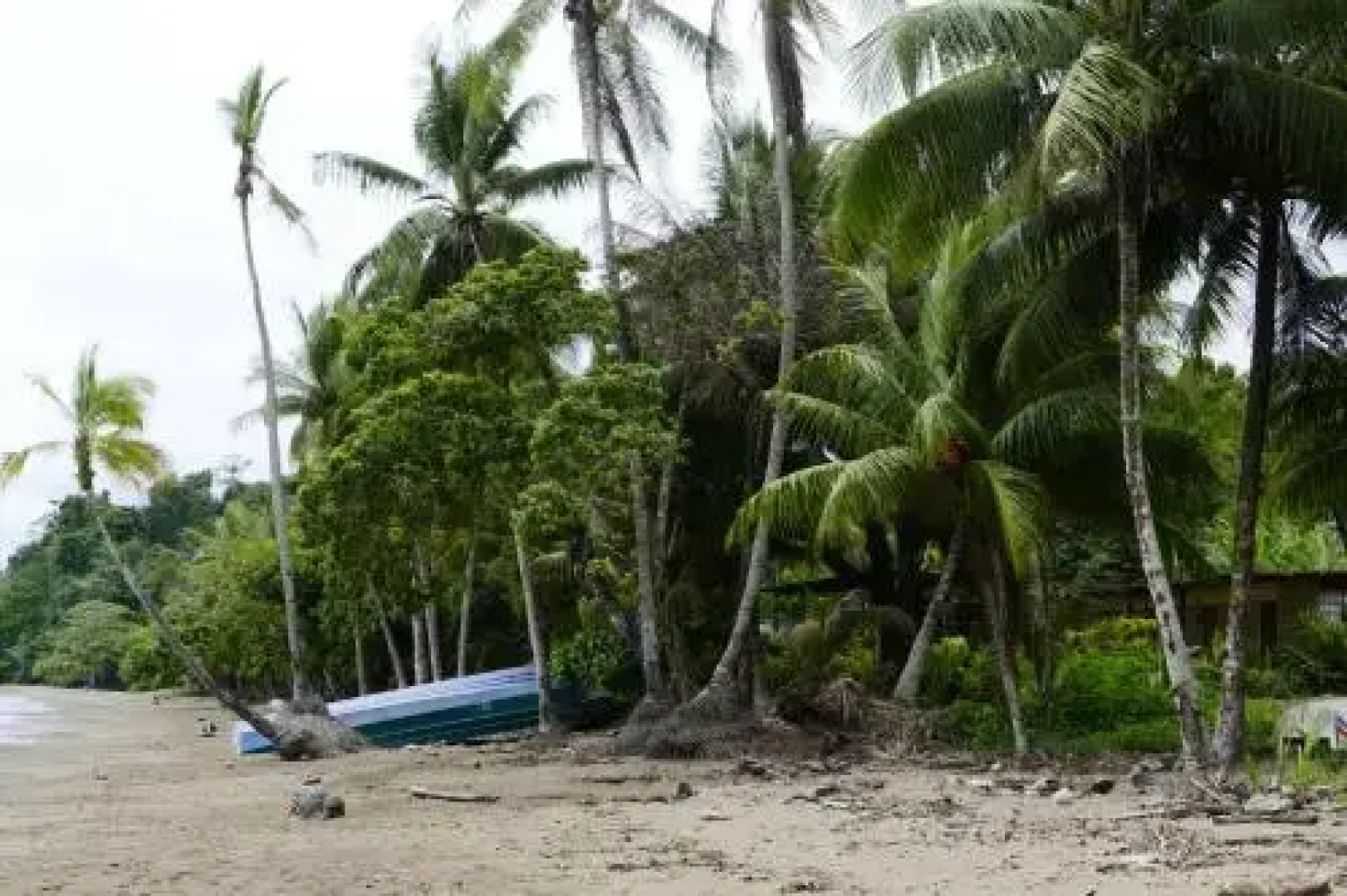 Las Brisas Tours y Cabinas