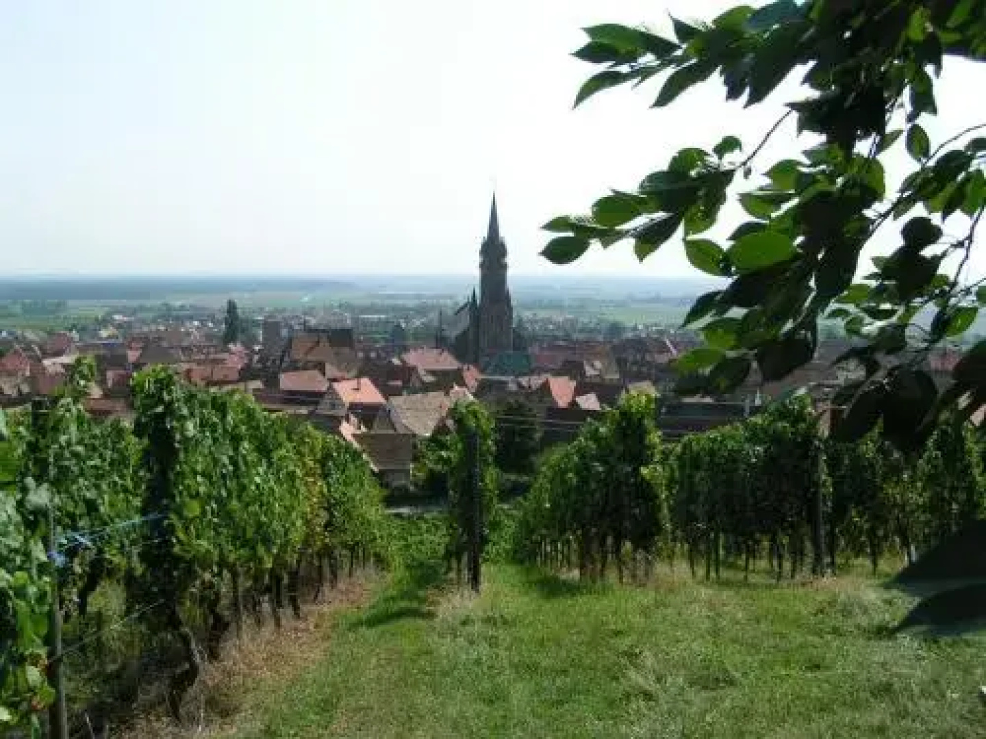 Appartements Les clés des Vignes