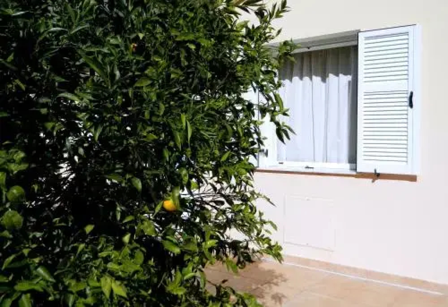 Irene Studios Kefalonia