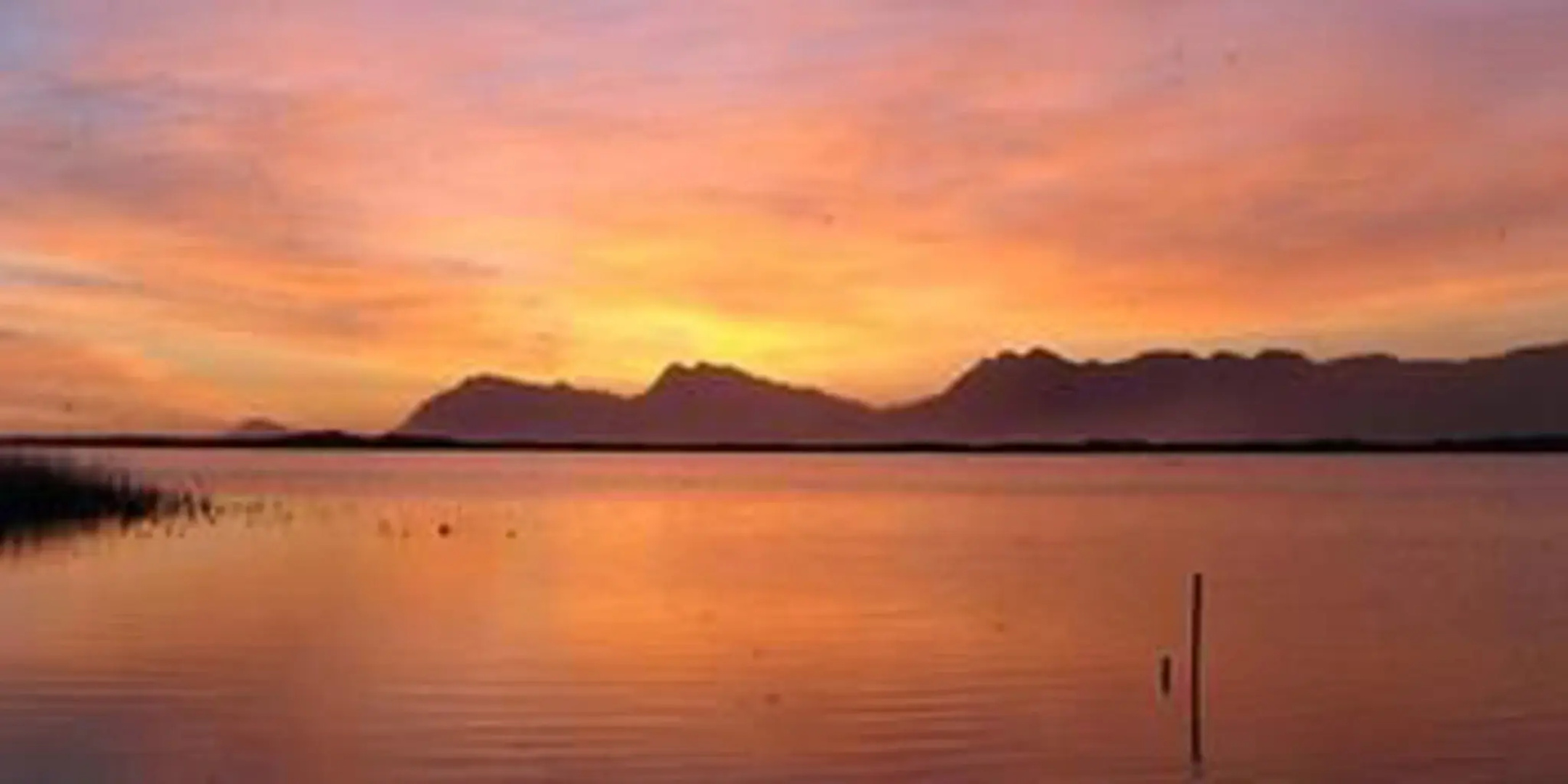 Flamingo Lake