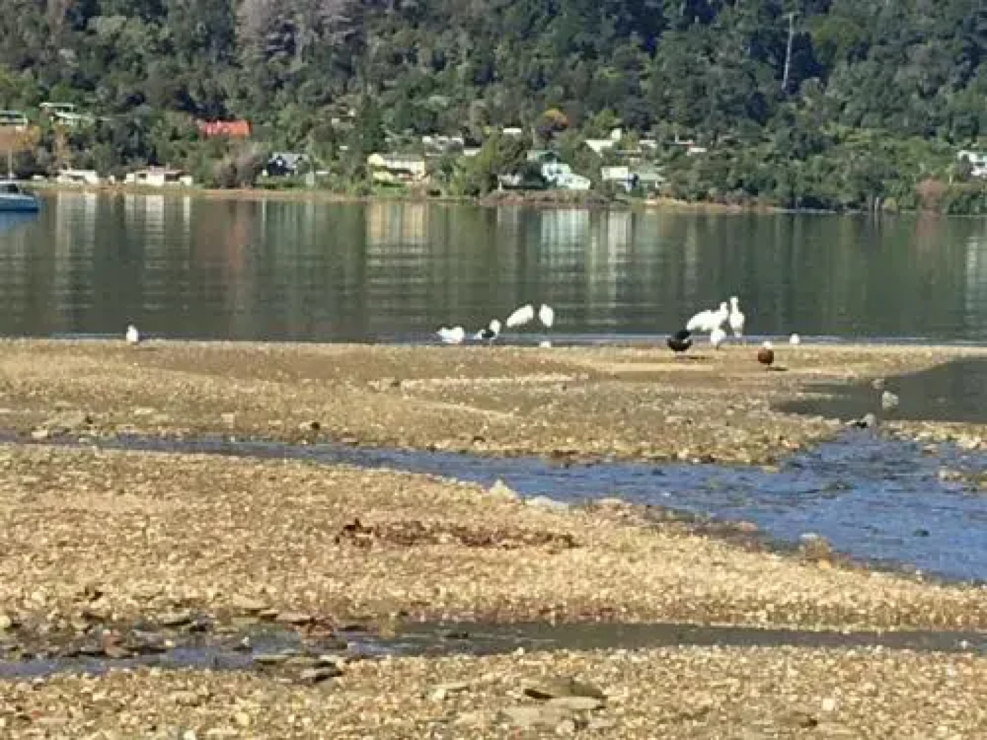 Seascape at Anakiwa
