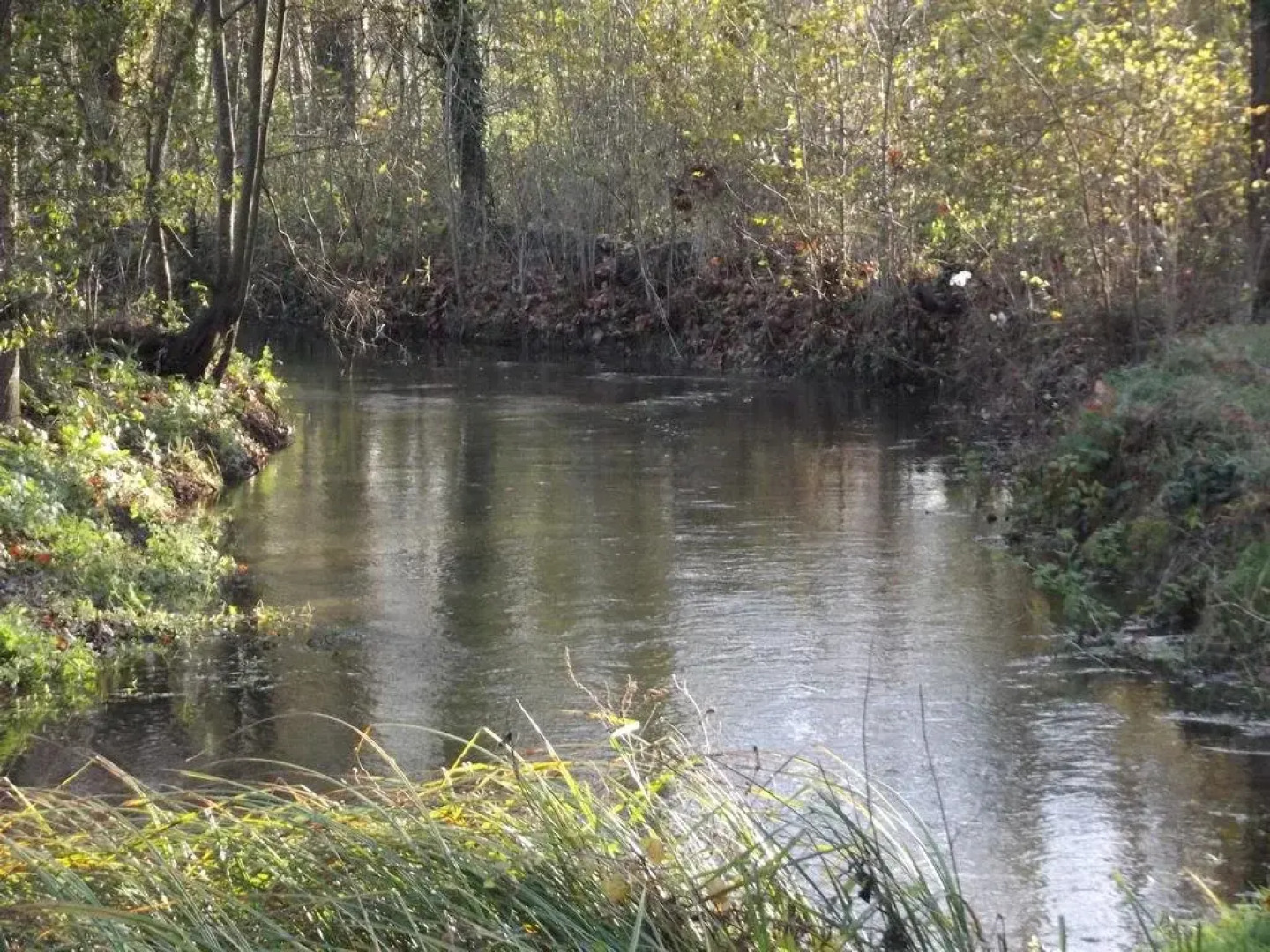 Logis Le Moulin De Cierzac