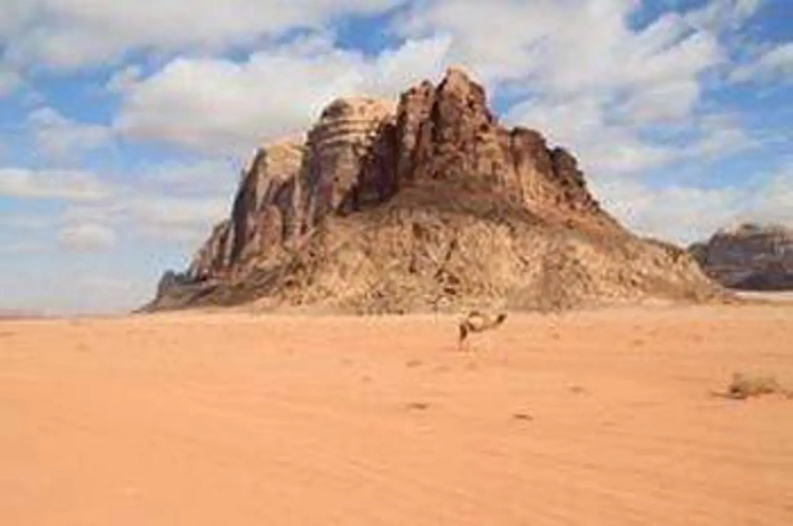 Sand Dunes Camp