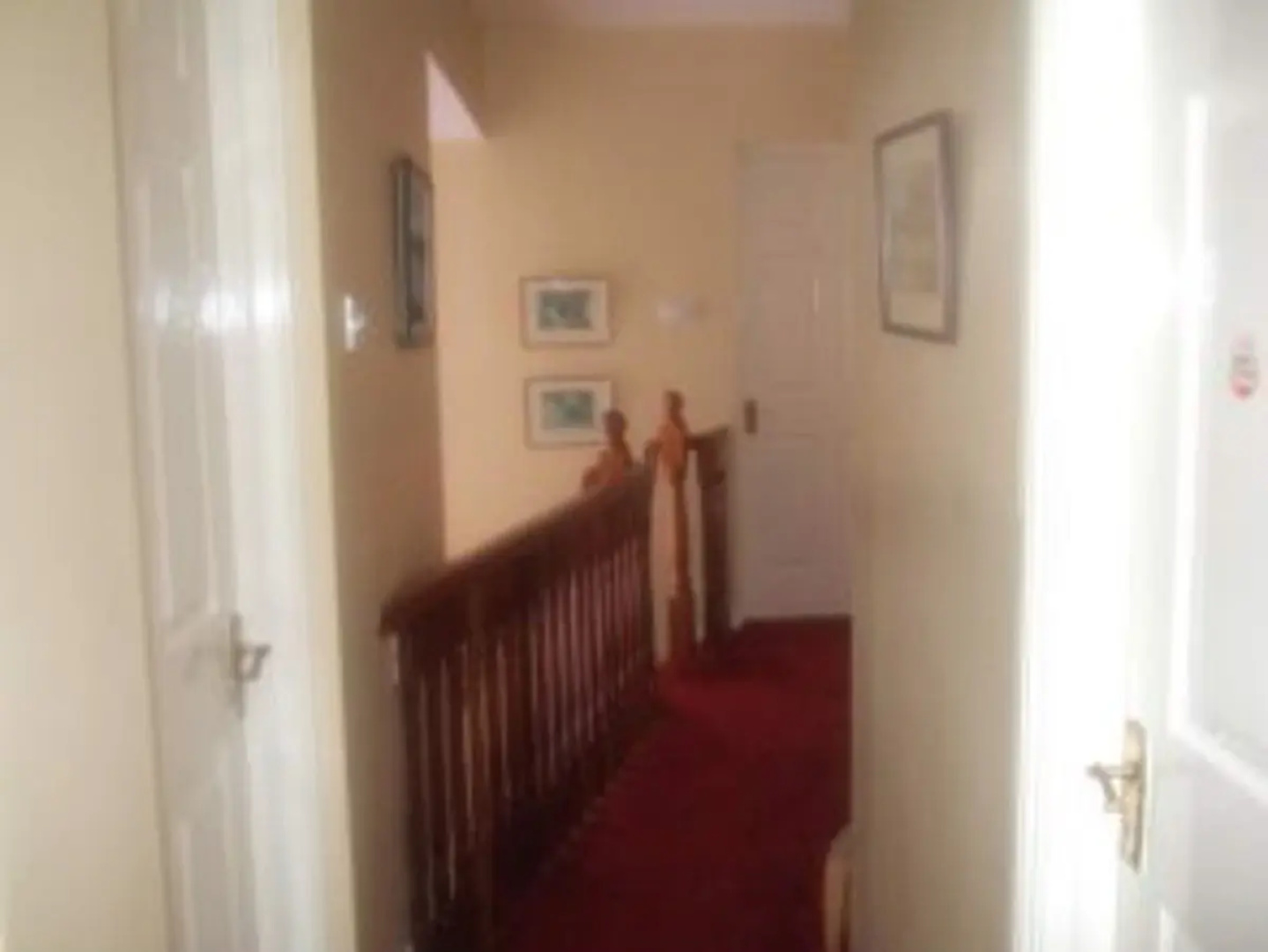 Elderberry B&B