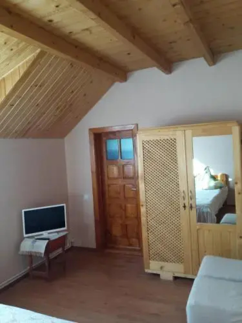 Pensiunea Valea Badilii