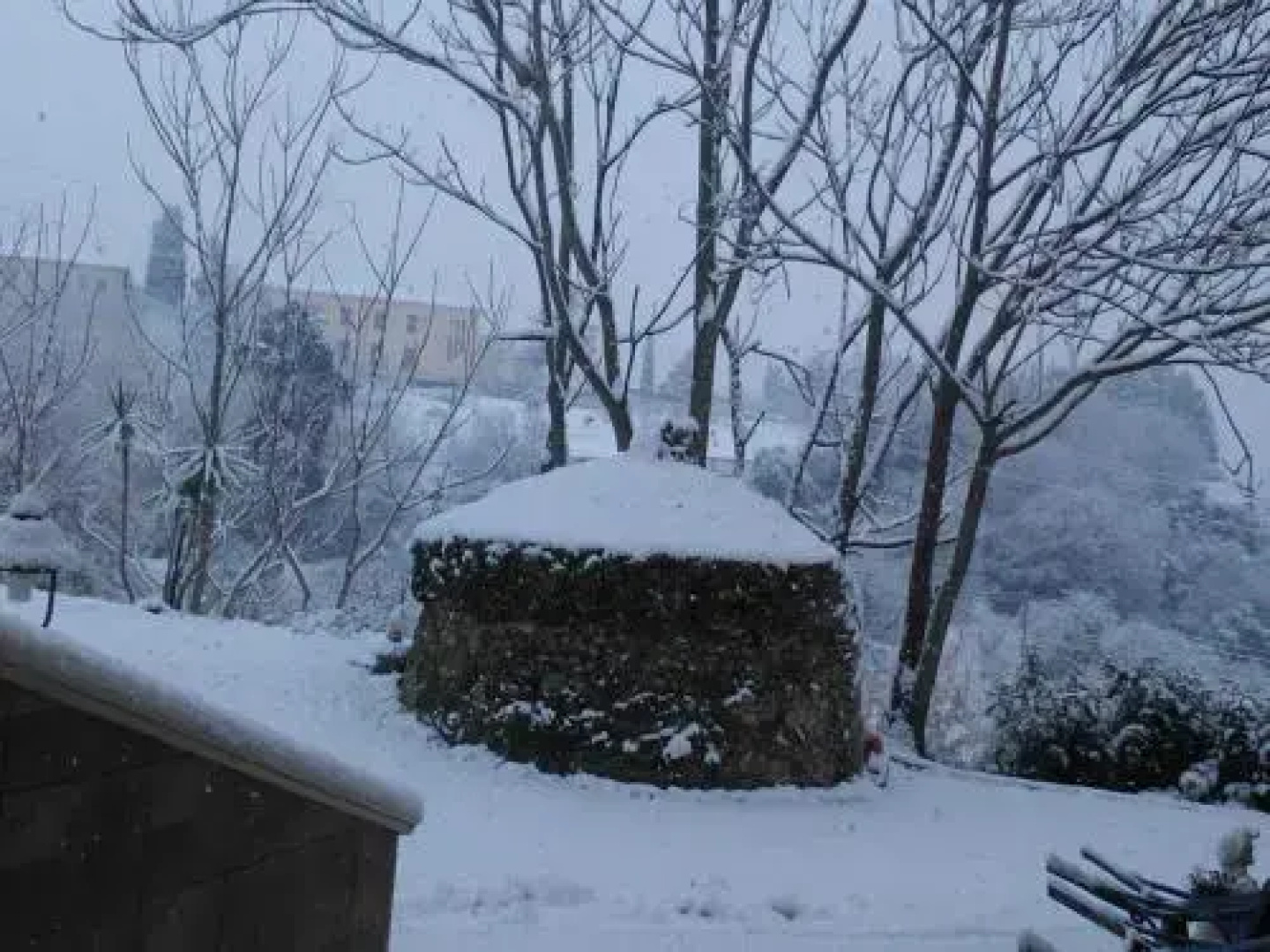B&B Casale Valleverde