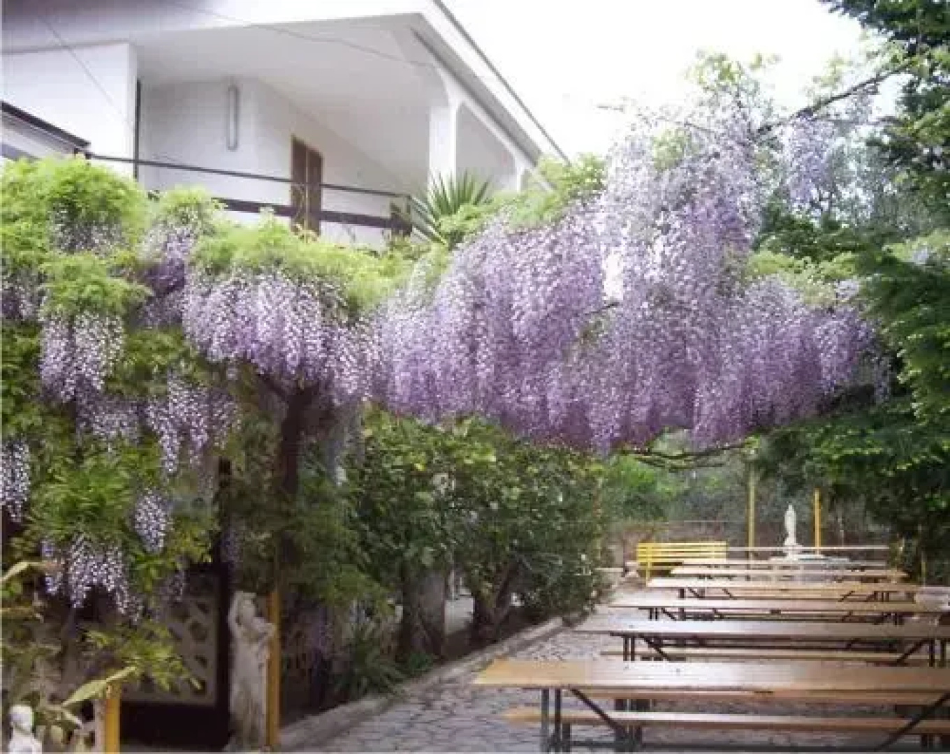 Shangri-La