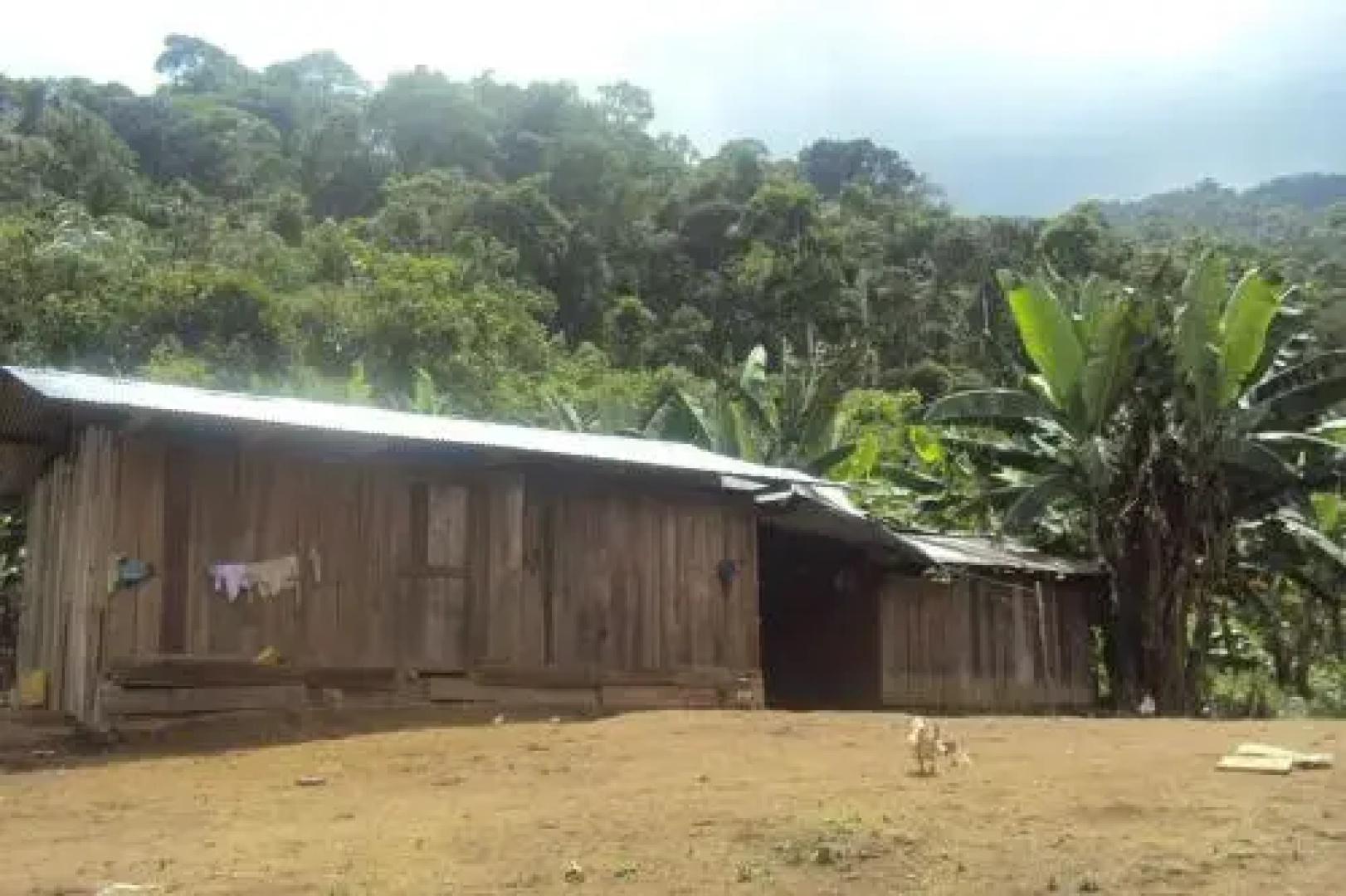 Conservación Ecológica Yampinkia