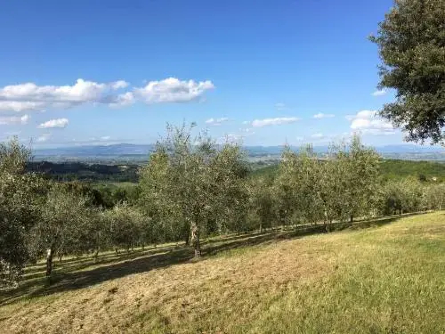 Agriturismo Il Gonzeto, Montepulciano
