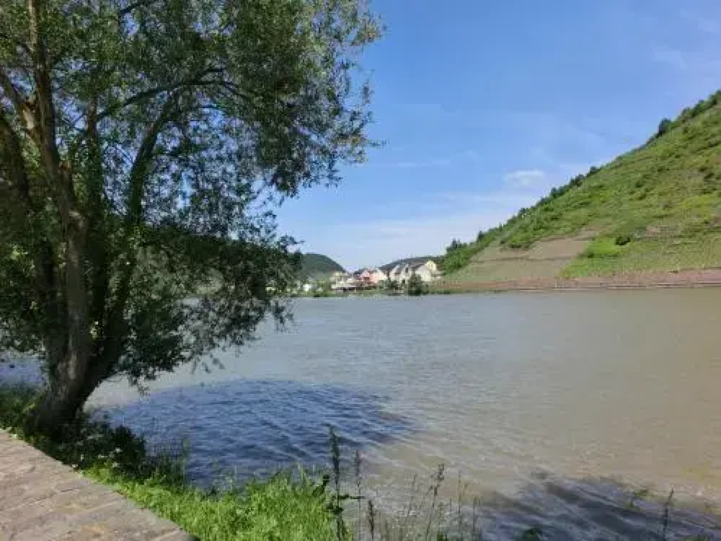 Ferienwohnungen Moselstausee