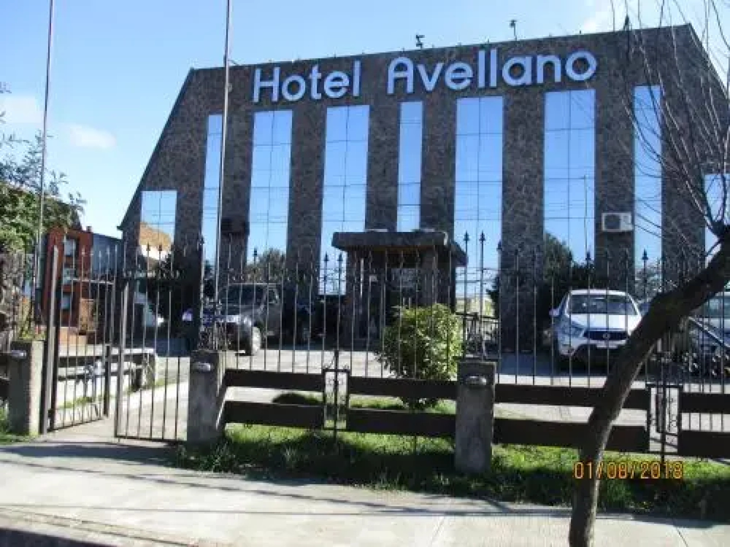 Avellano