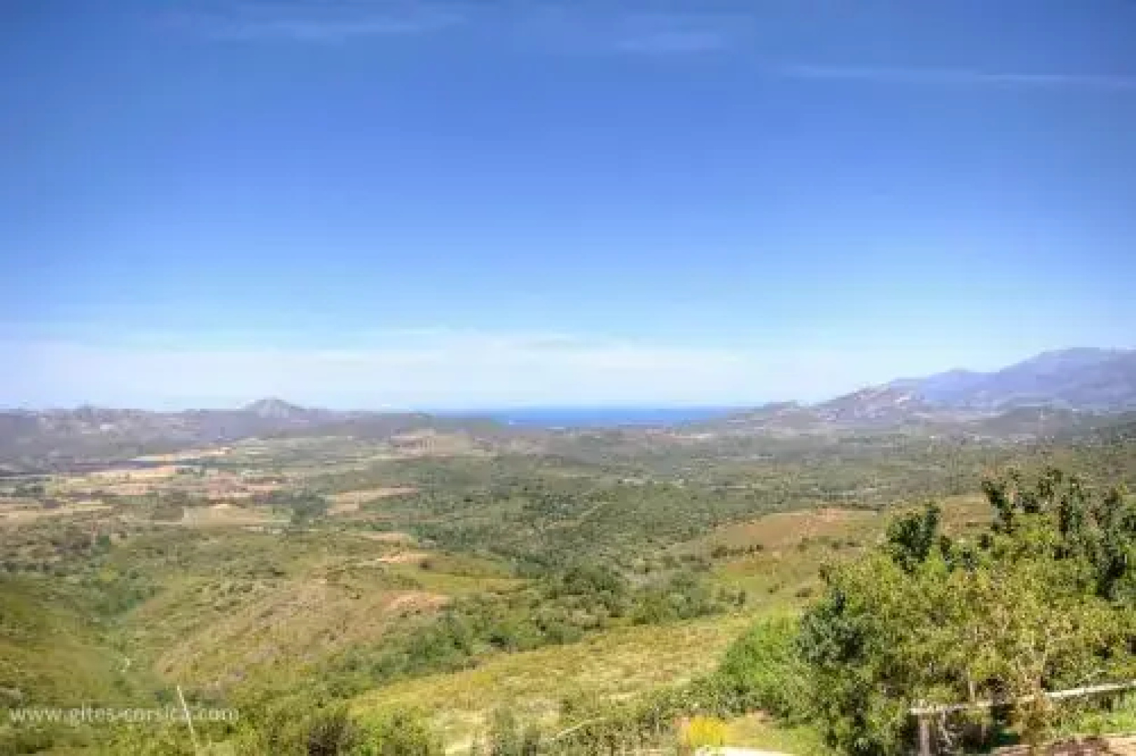 A Conca d'Oro