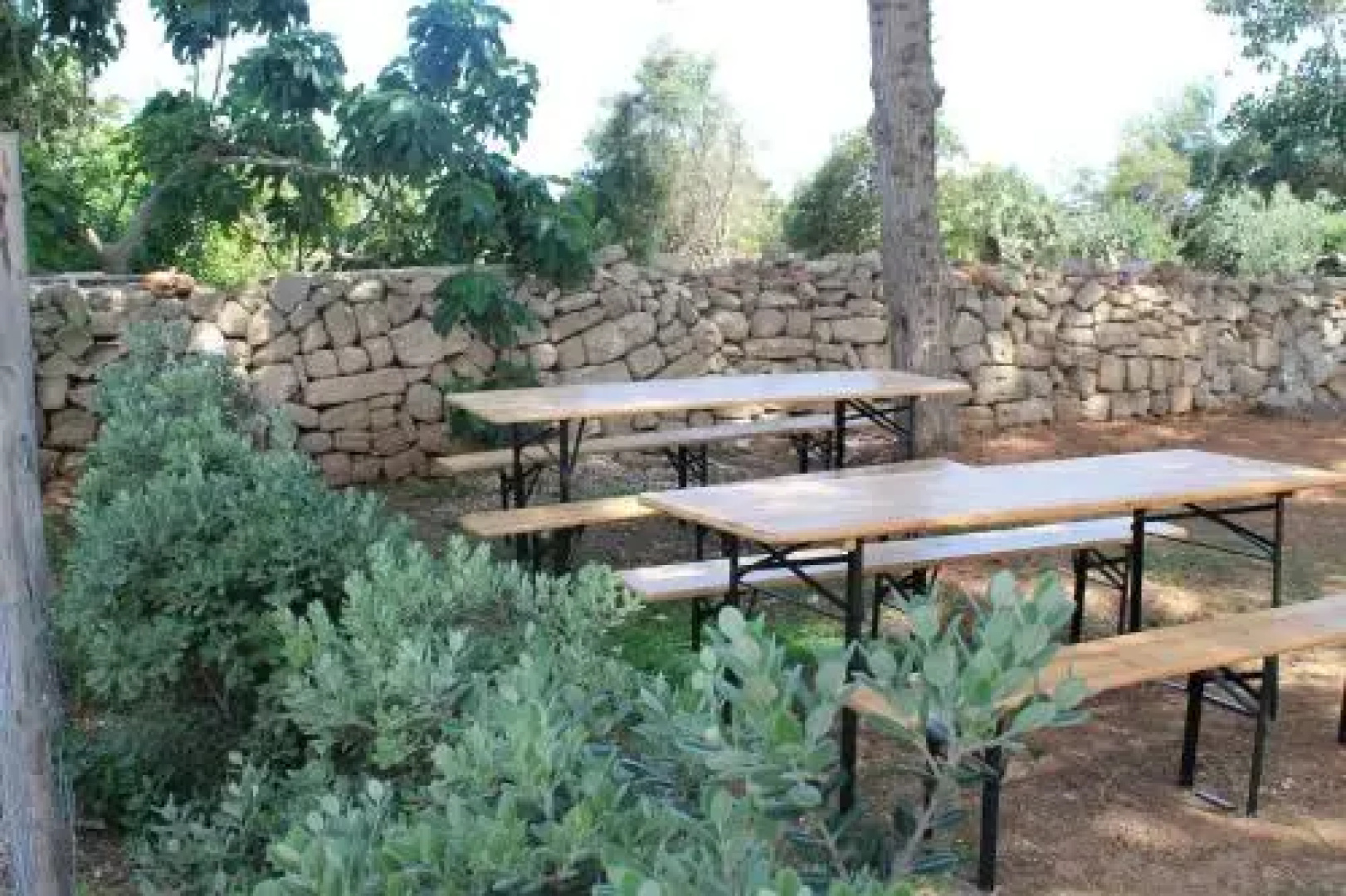 Cavalluccio Marino