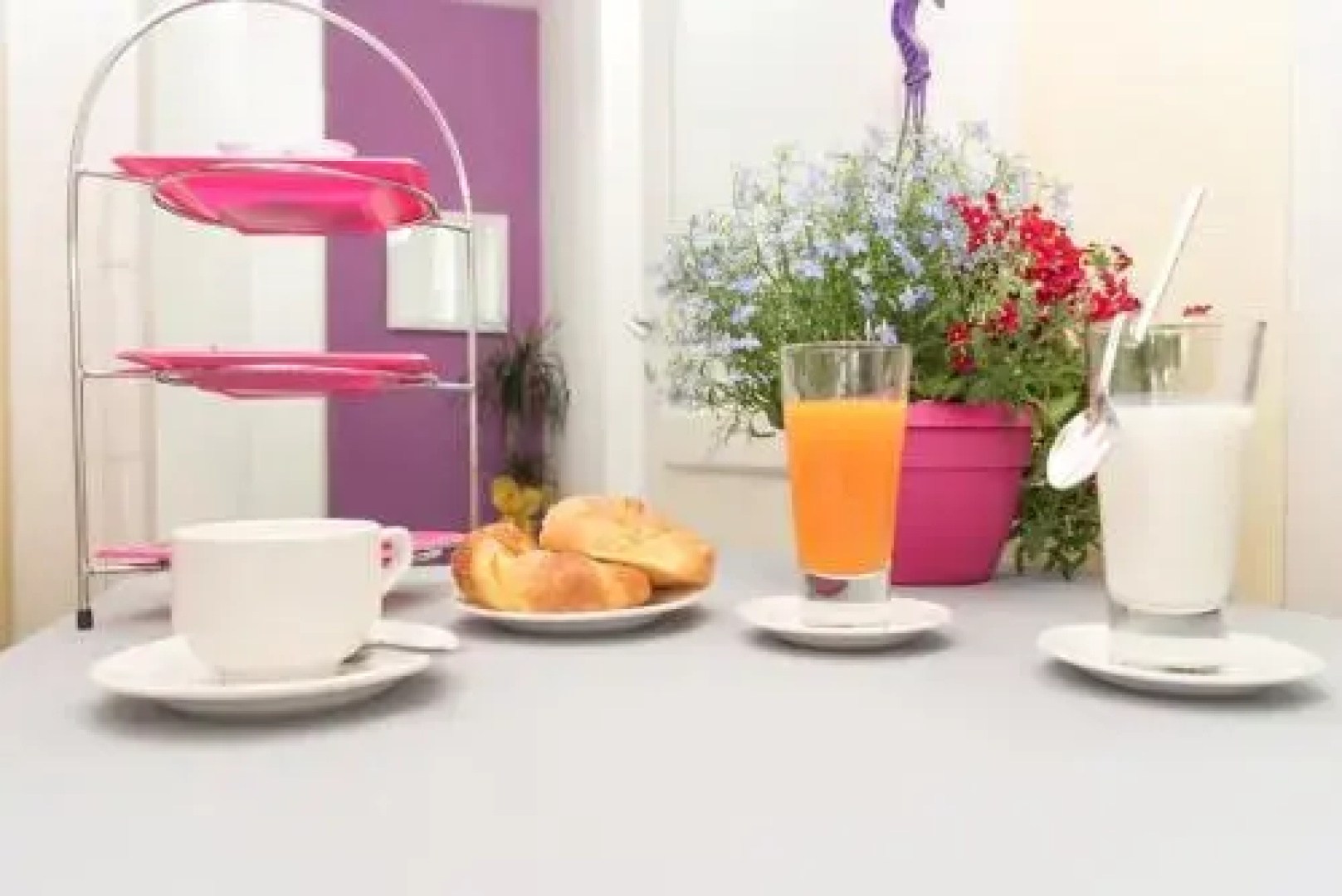 B&b Meta Mito
