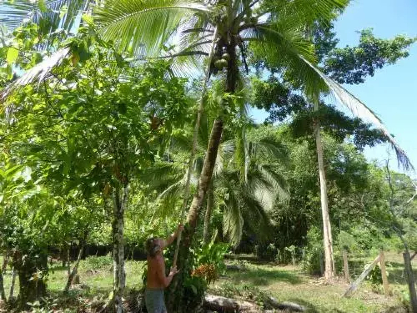 Puri Mas OSA Eco-Retreat