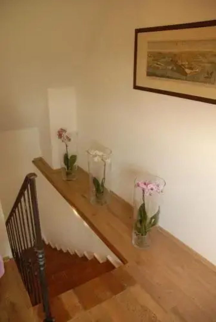 Sárga Ház