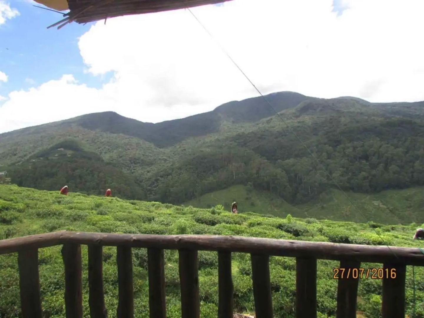 Yoho Tea Garden Cottage