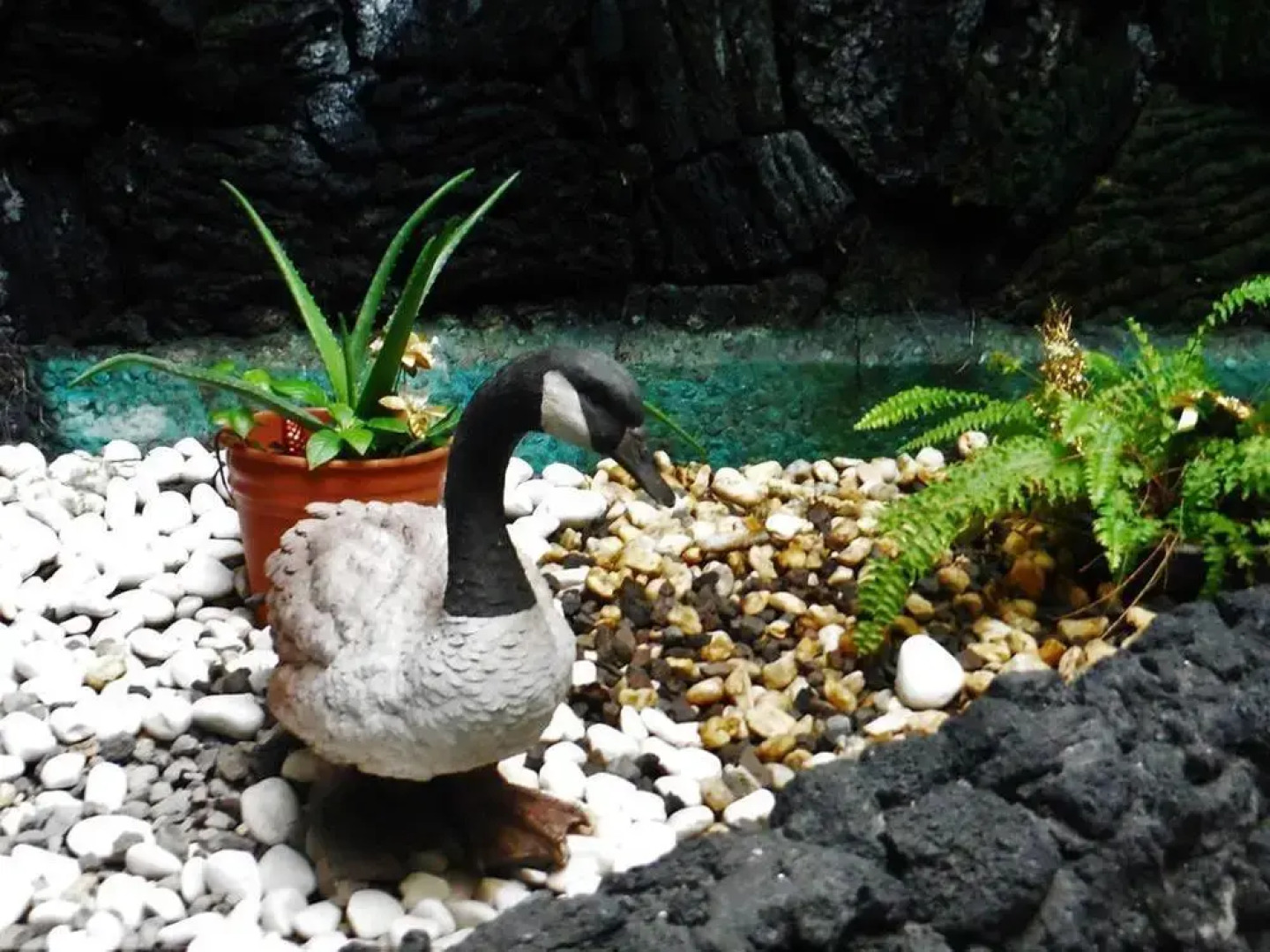 Hotel Global Express Alameda