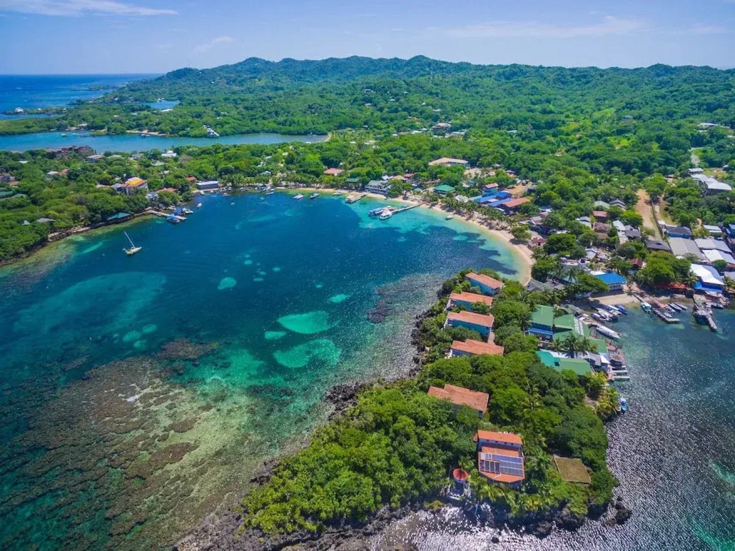 Coral Vista #1