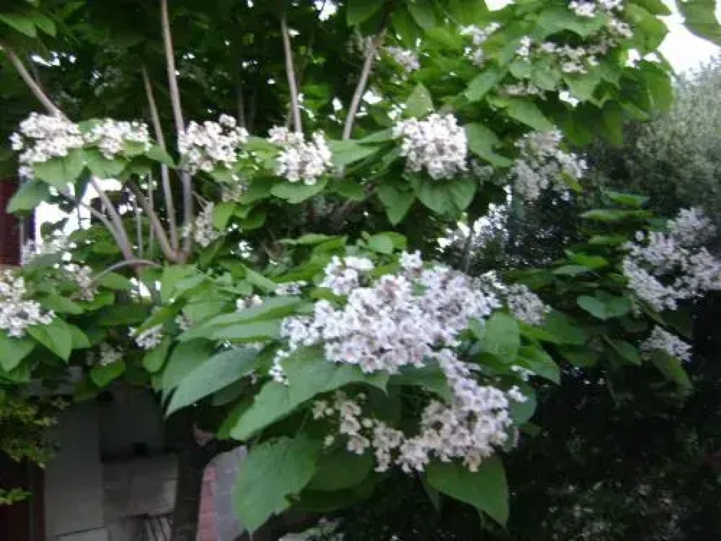 B&B Il Melograno da Maria Màndas