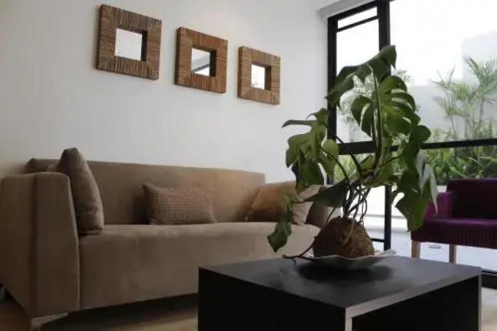 Suites Metropoli Bristol Park