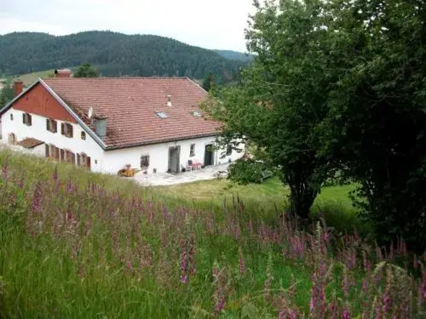 Appartement La Timonière