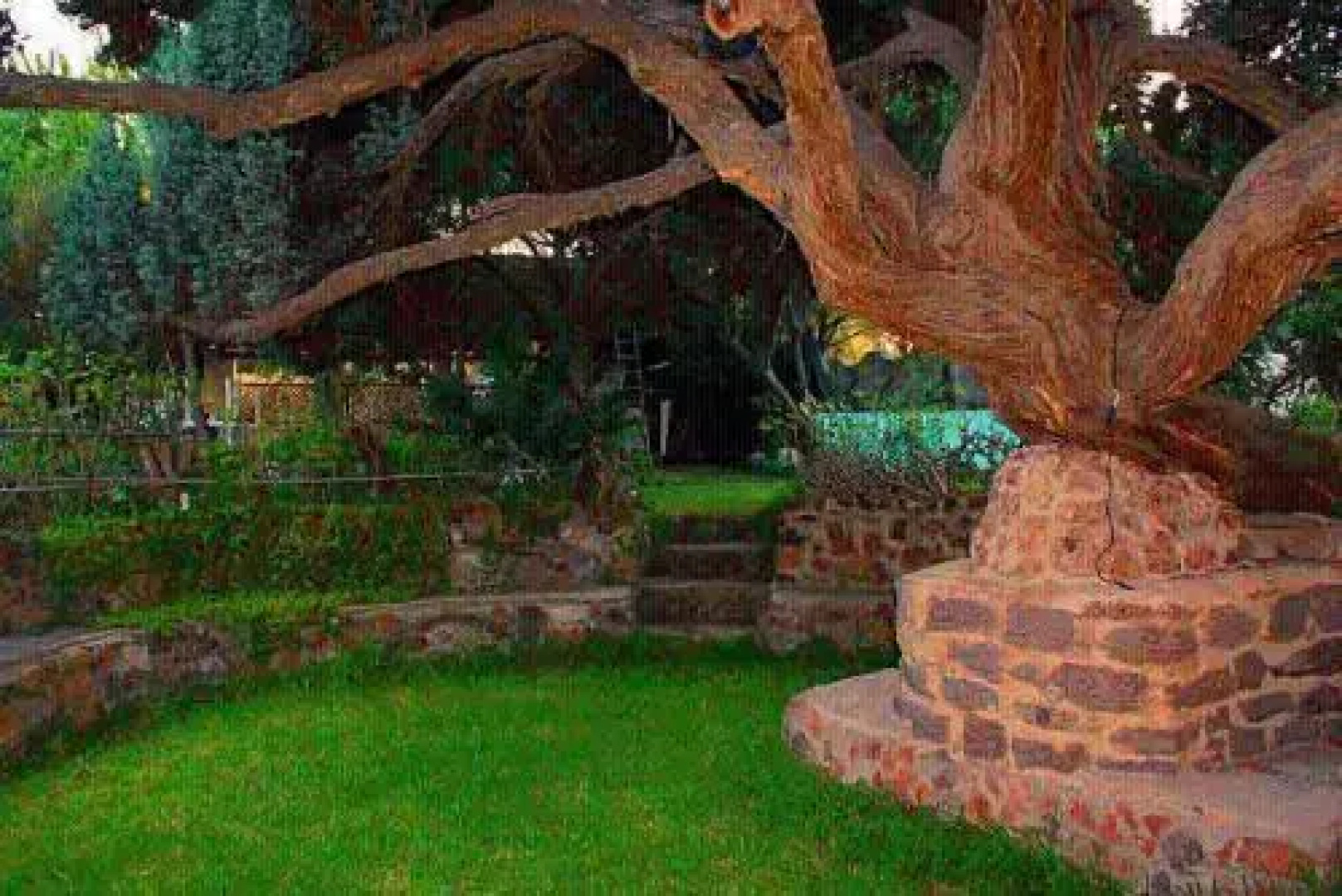 B&B Il Giardino Dacri
