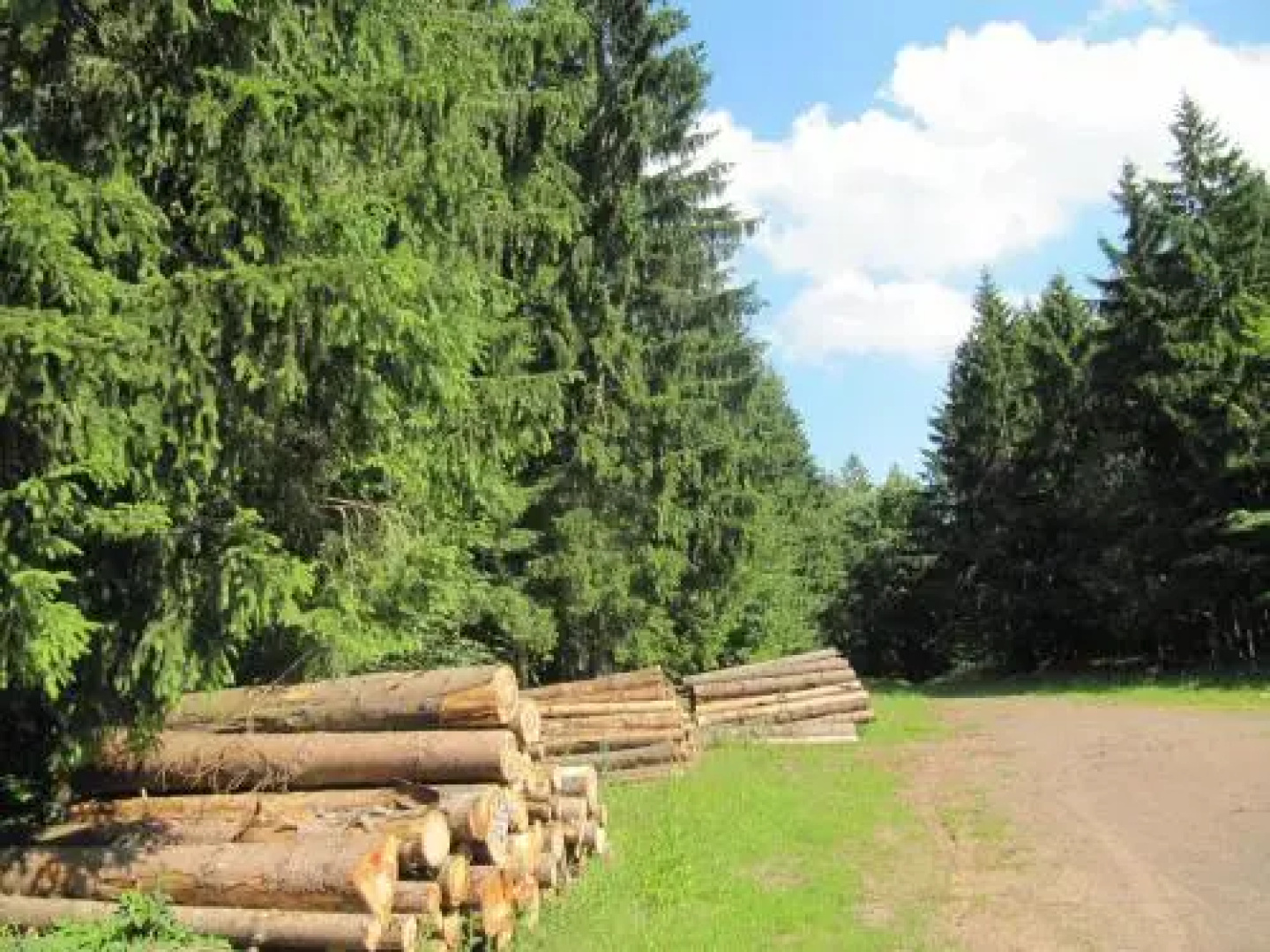 Ferienwohnung Römerstein
