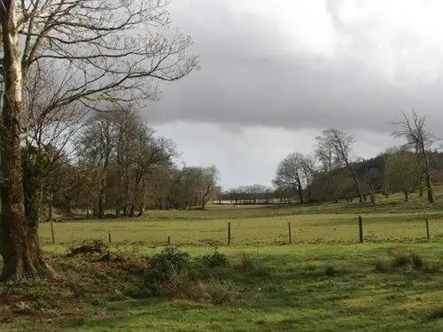 Tor Royal Bed & Breakfast