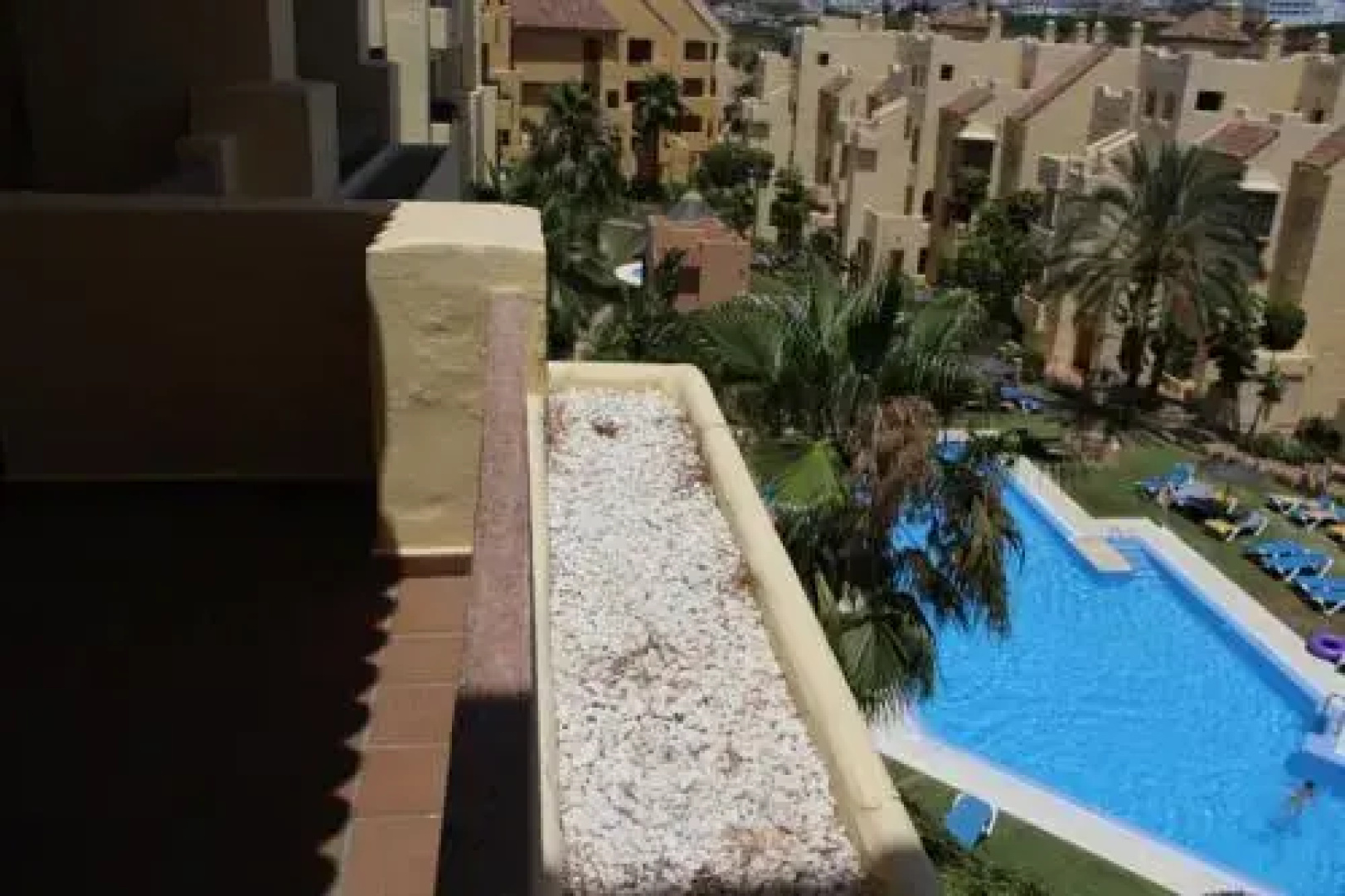 2114-Apt with nice terrace with pool view