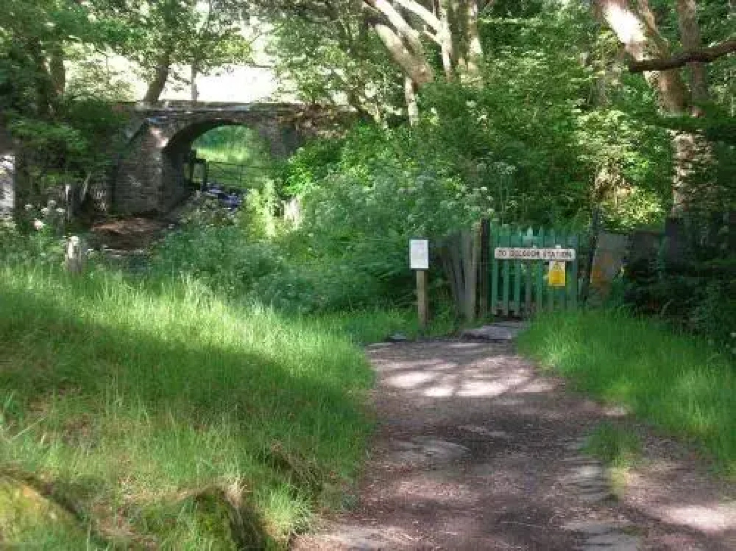 Dolgoch Falls