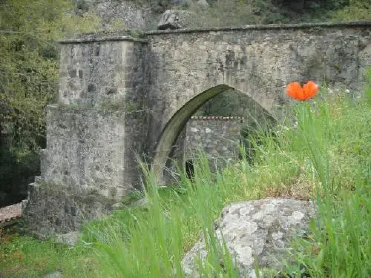 Archontiko I Misirlou