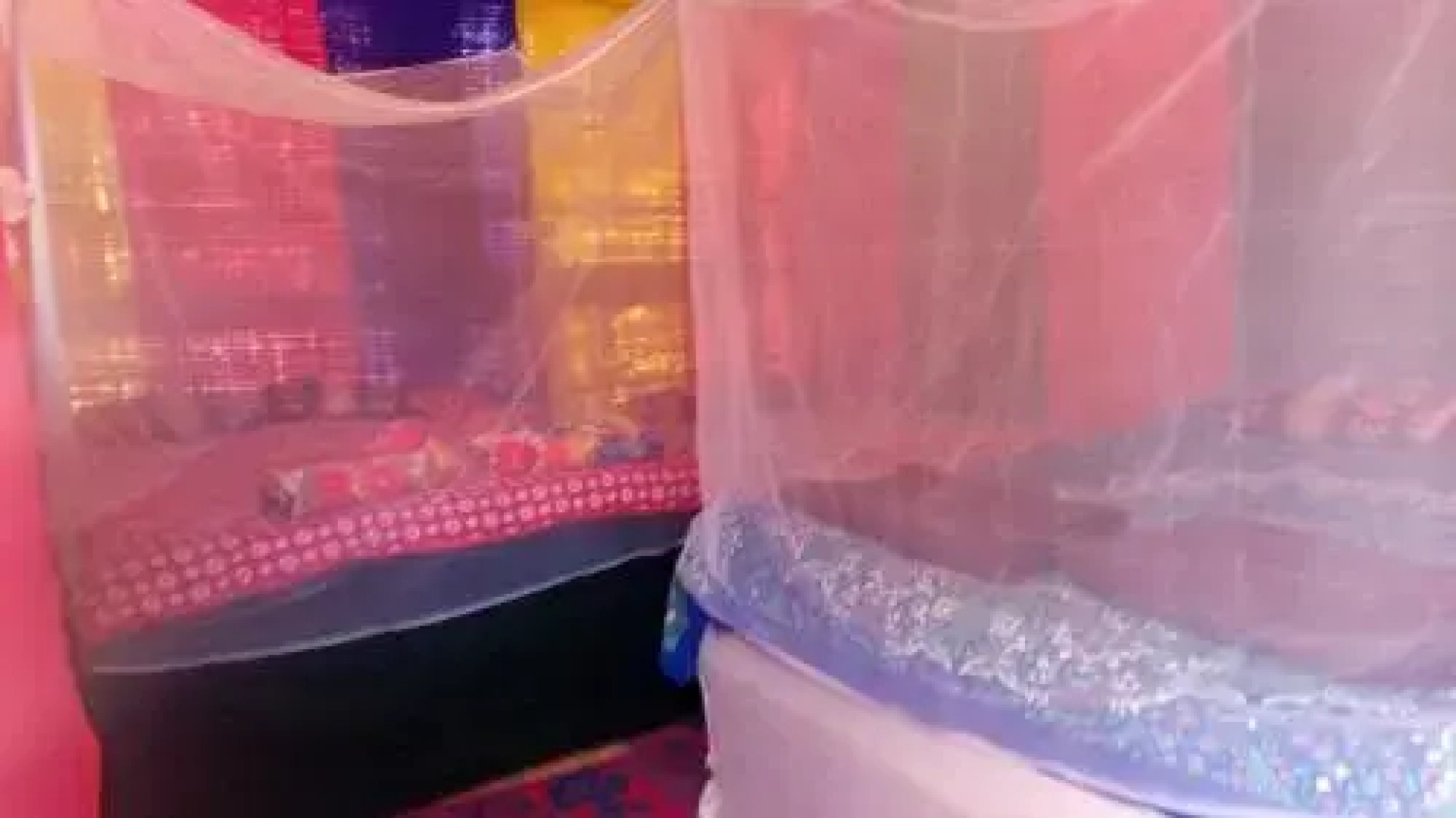 Cabo Wabo Beach Hotel