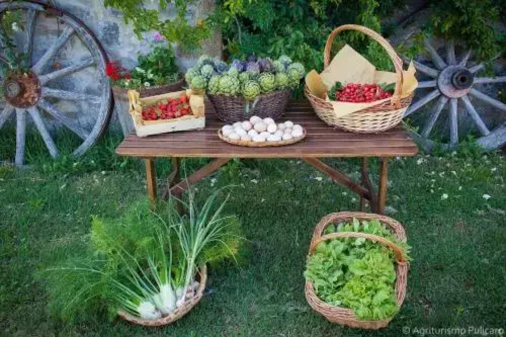 Agriturismo Pulicaro