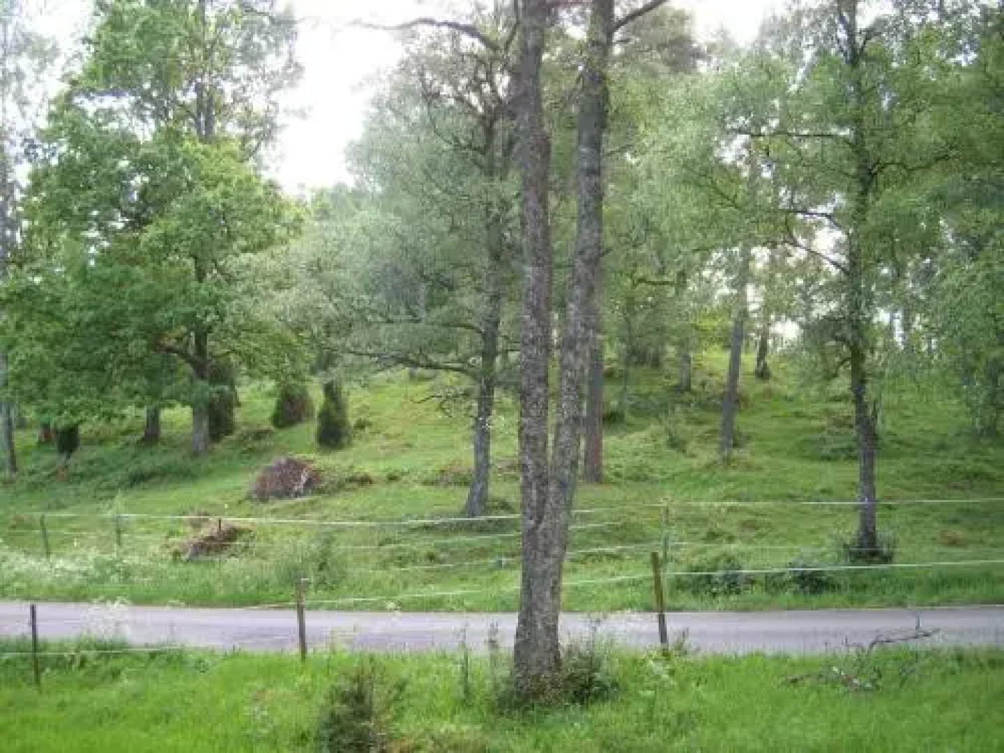 Cottage Ålaryd