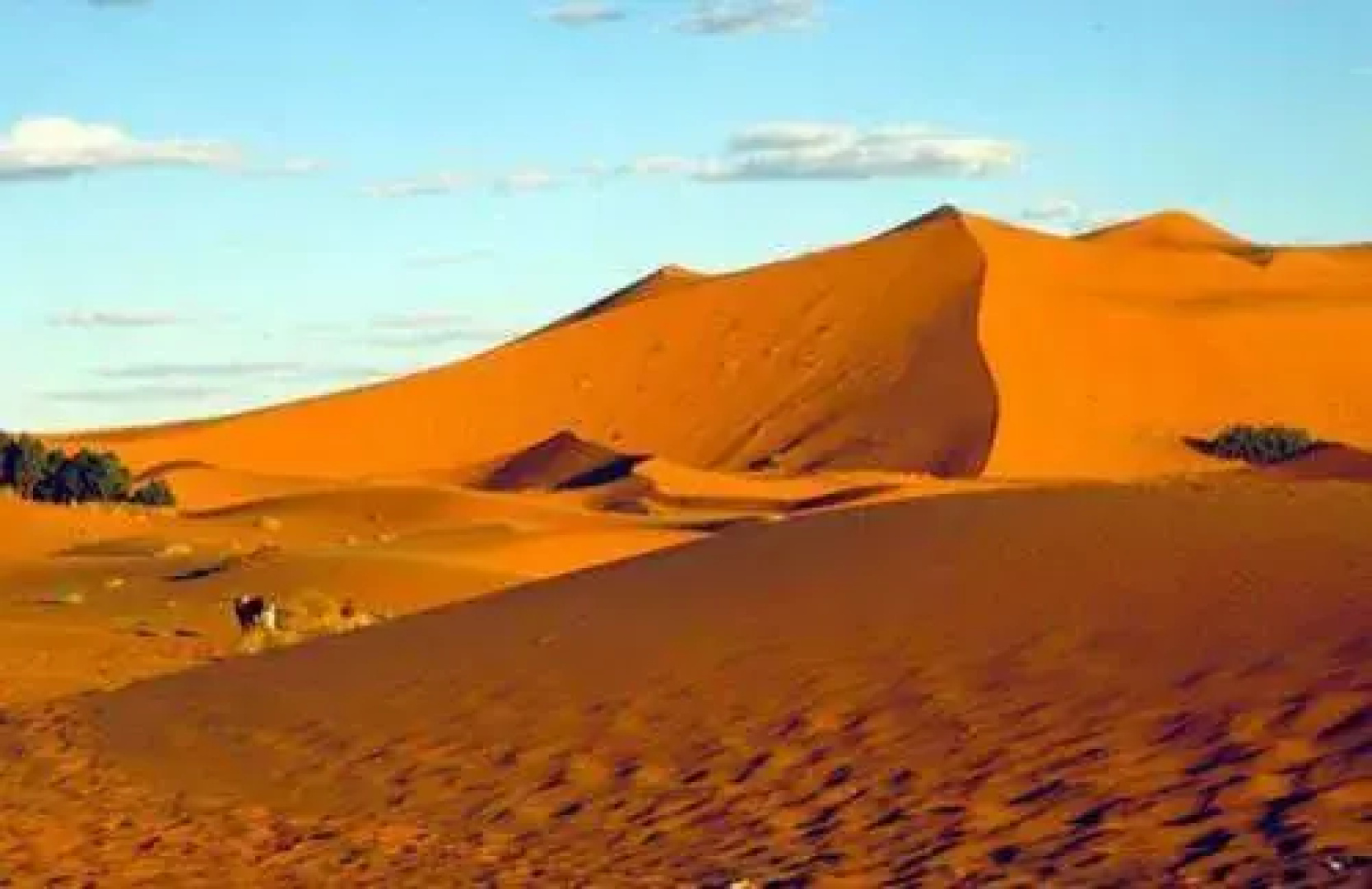 Best Morocco Tours