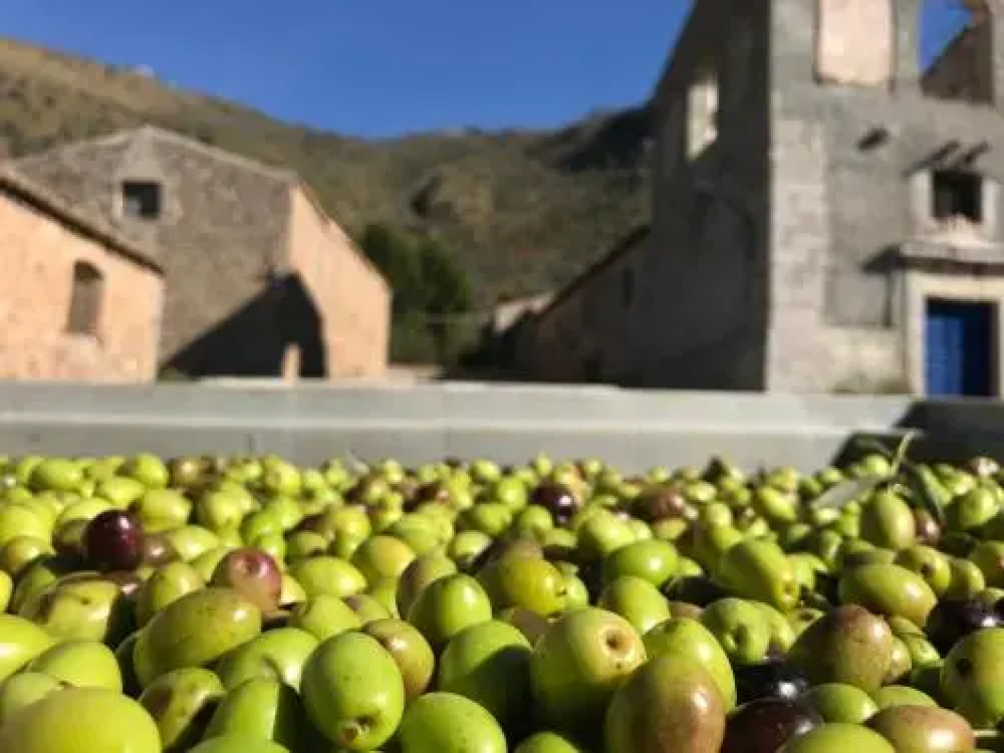 La Ferula