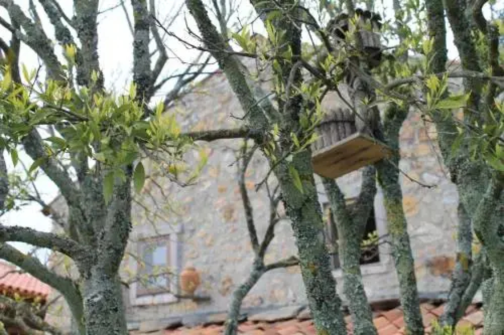 Casas do Favacal
