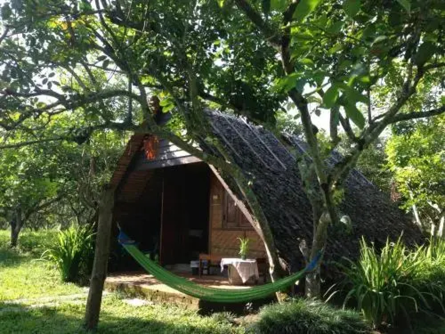 Yang Tone Farm Stay