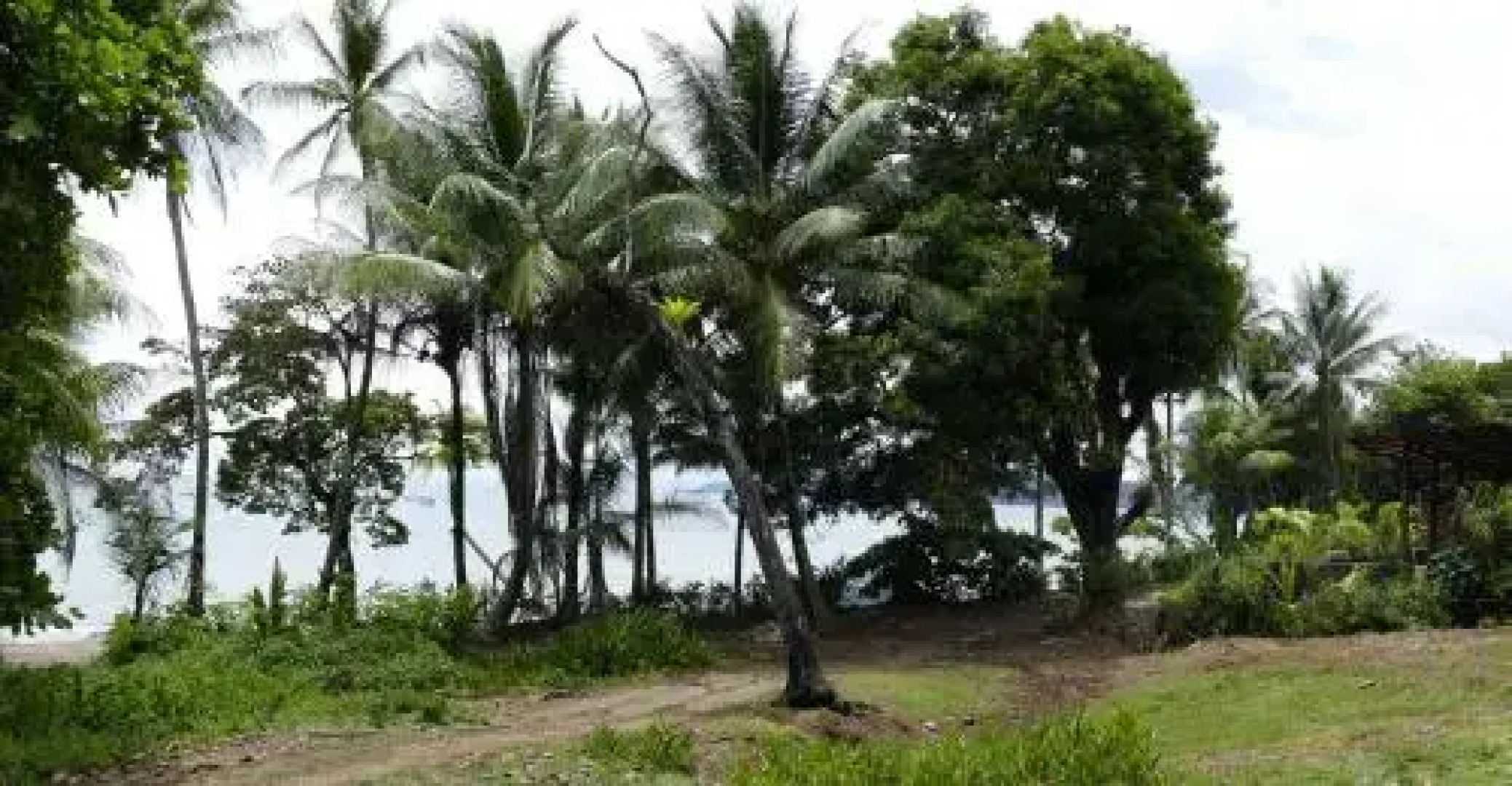 Las Brisas Tours y Cabinas