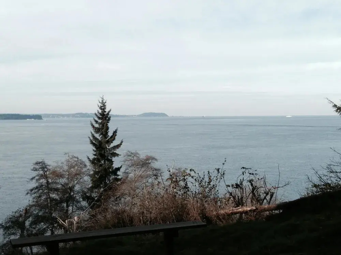 Westside Waterfront View home
