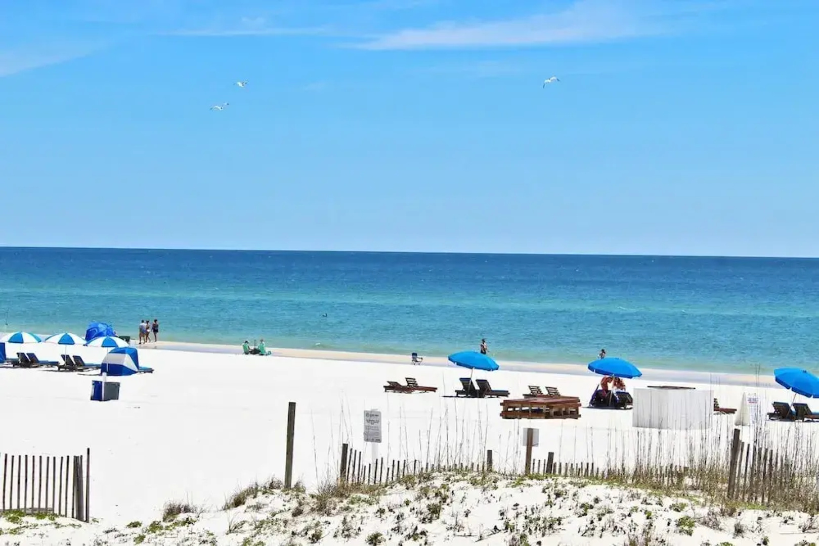Island Shores 250