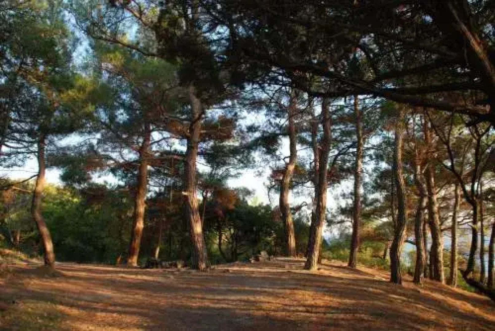 Гостевой Дом Панорама