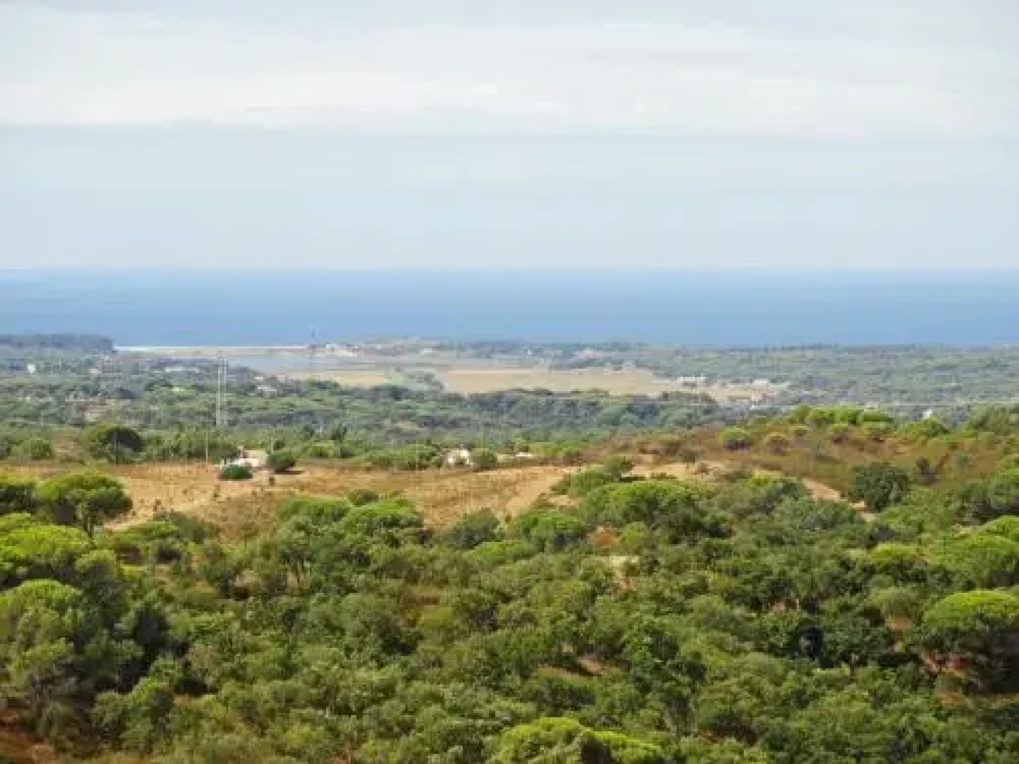 Pinhal da Coutada