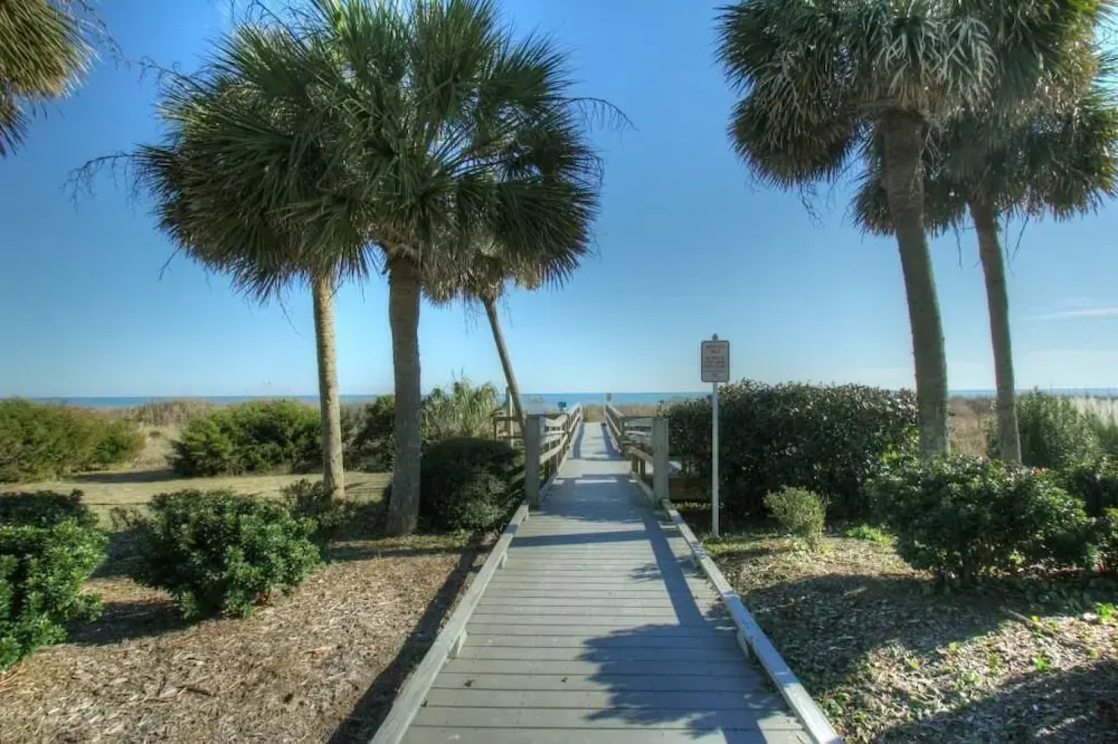 Ocean Forest 904 by RedAwning