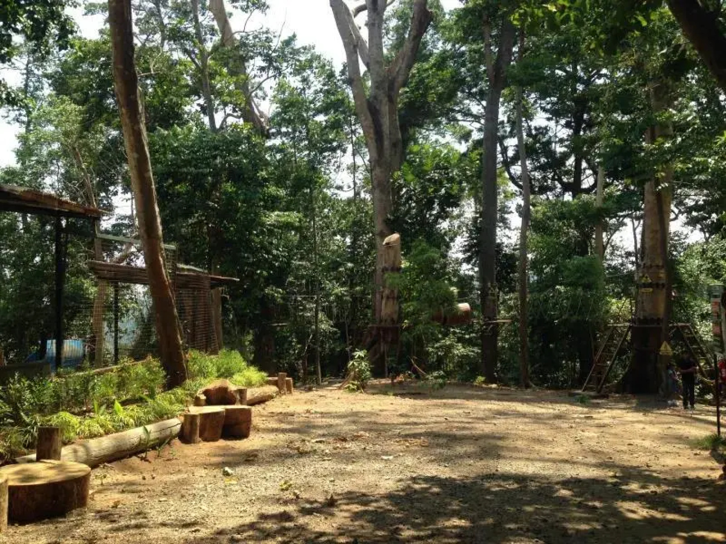 Jungle Environment Survival Training Jest Camp Dormitory